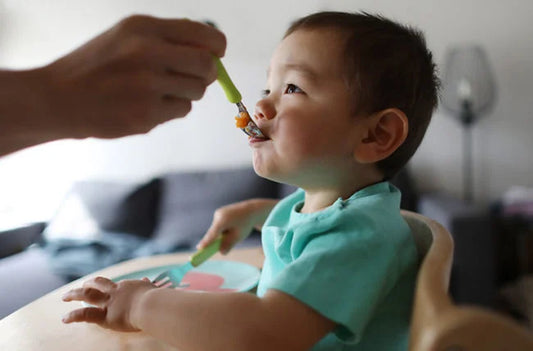 The Baby Biography Award Winners 2023 | Best Baby Highchairs in Australia