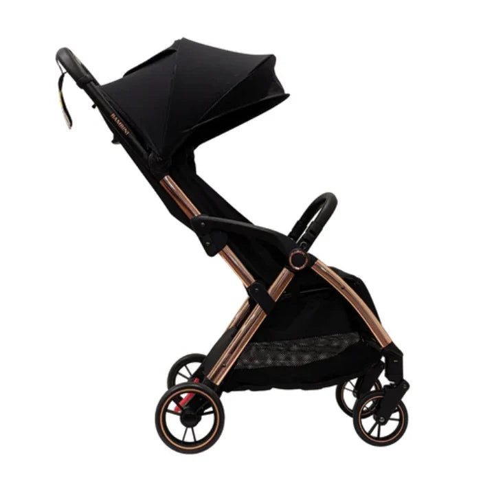 Bambini Paris Travel Stroller Review